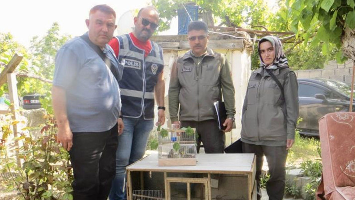 Saka kuşu ticareti yapan kişiye 77 bin 600 lira ceza