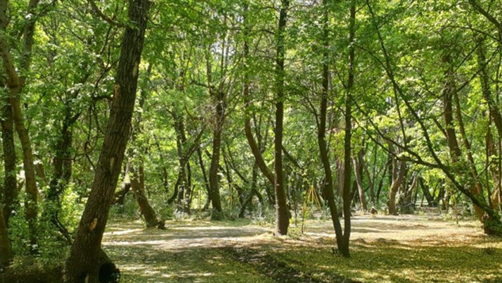Pendik'te 2 gündür aranıyordu! Bakın nerede bulundu
