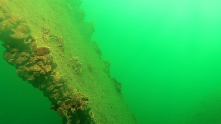 Sapanca Gölü'ne düşen uçağın enkazı 53 yıl sonra yeniden görüntülendi