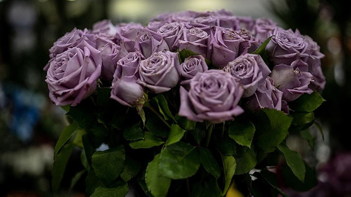 Evinin etrafında dolaşıp "hep aklımdasın" notuyla çiçek gönderdi! Yargıtay'dan flaş karar