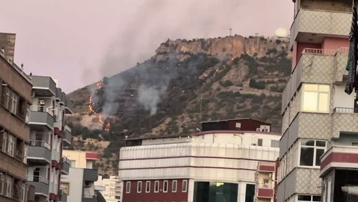 Mardin'de tarihi kale eteklerinde çıkan örtü yangını kontrol altına alındı
