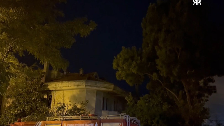 Villanın çatı katından manzarayı seyretmek istediler! Gördükleri dehşete düşürdü