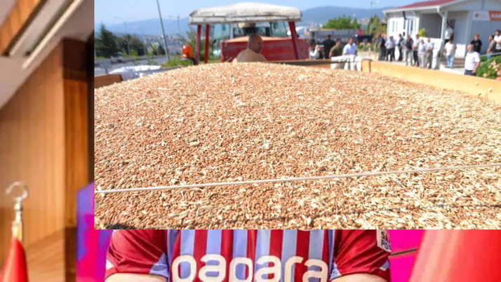 TMO, 1 milyon tonun üzerinde hububat aldı