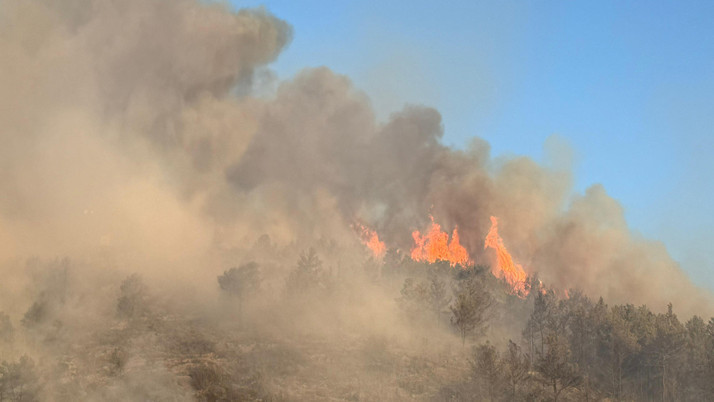 Antalya Gazipaşa'da orman yangını çıktı! Alevler evlere yaklaştı