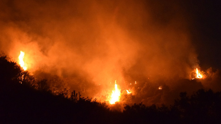 Turgutlu'daki yangına tutuklama! Meğer kene görmüş... İfadesine bakın