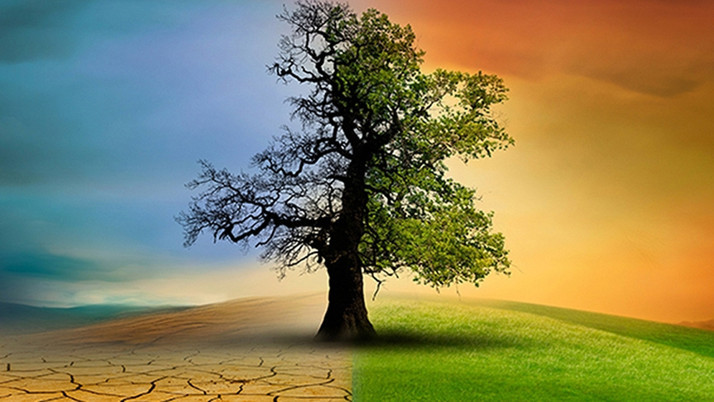 İnsanların özgürlükleri kısıtlanacak mı? Bakanlıktan İklim Kanunu ile ilgili iddialara yanıt