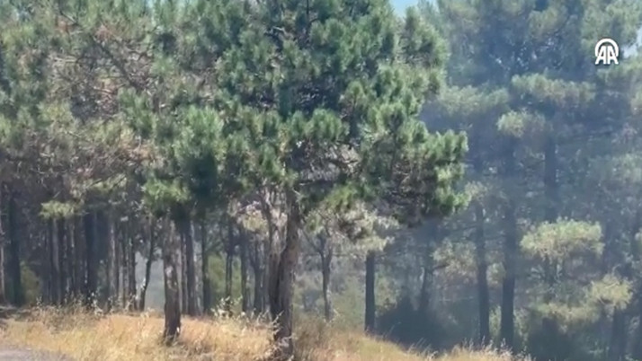 İstanbul'da orman yangını çıktı! Anonslar yapılıyor