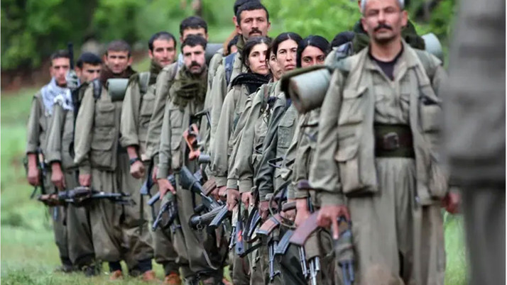 DEM Parti duyurdu: PKK gelecek hafta silah bırakacak