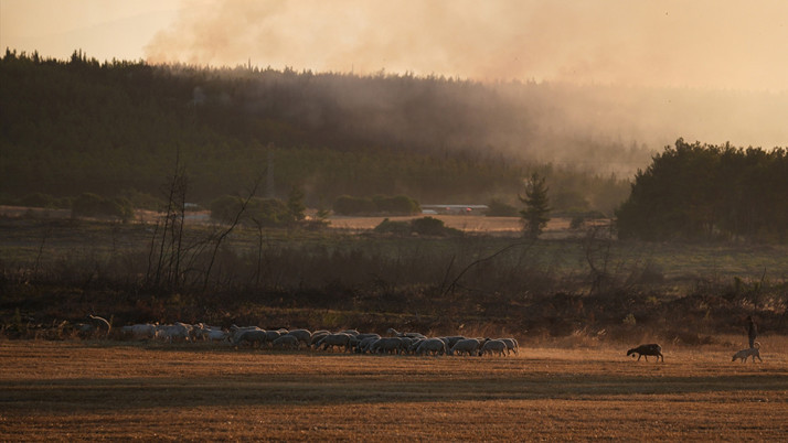 İzmir Buca yangınında son durum! 2 kişi gözaltına alındı