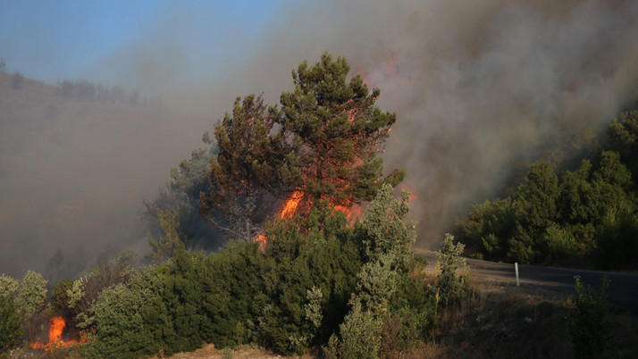 Meteoroloji'nin uyarısı korkuttu! Orman yangınlarında son durum hangi illerde yangınlar sürüyor?