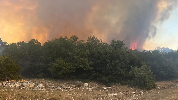 Eskişehir'de orman yangını kontrol altında!