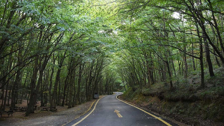 O ilde ormanlık alanlara giriş yasaklandı