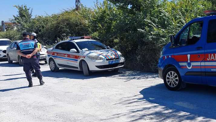 Antalya'da aslan saldırısı! Kaymakam uyardı: "Ormanın içine doğru kaçtı"