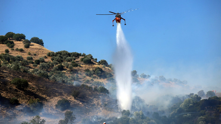 Aydın'da zeytinlik alanda çıkan yangının nedeni belli oldu: Baba ve oğlu gözaltında