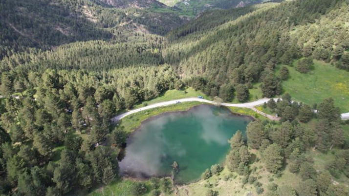 Gümüşhane'de ormanlık alanlara girişler yasaklandı