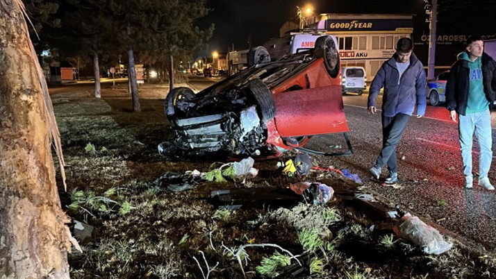 Aydın'da ağaca çarpan otomobildeki 2 kişi öldü