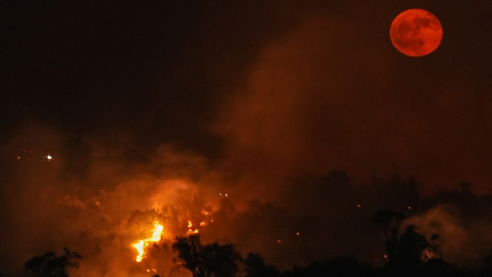 Bursa-Balıkesir sınırında yangın başladı! 2 kişi gözaltına alındı