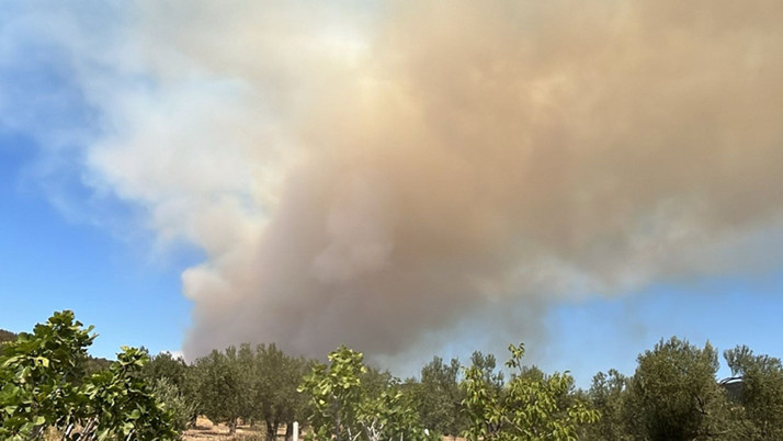 Çanakkale'de ve Bursa'da yangın çıktı! Köyler tahliye ediliyor