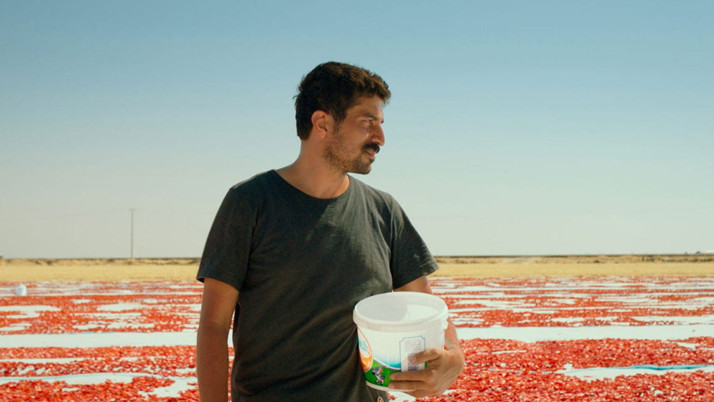 Türkiye'nin Oscar adayı belli oldu