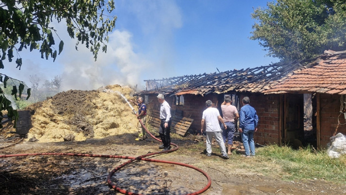 Tokat'ta feci olay! 7 büyükbaş hayvan yangında telef oldu...