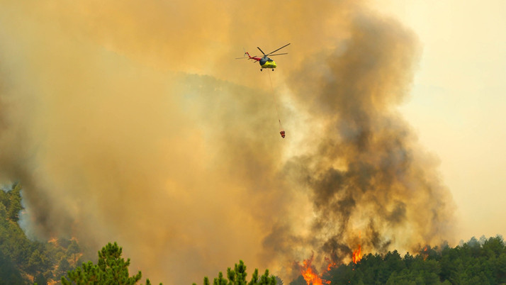 Uşak'ta orman yangını! Alevler rüzgarın etkisiyle hızla ilerledi