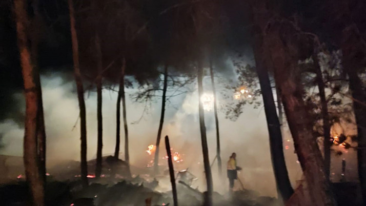 Çiftlikte başlayan yangın ormana sıçradı! 95 küçükbaş hayvan telef oldu