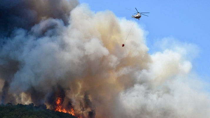 Eskişehir'de orman yangını çıktı!