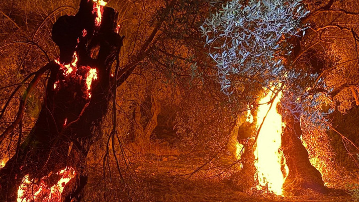 Eskişehir orman yangınında 5'i AKUT, 5'i orman işçisi 10 kişi şehit oldu isimler açıklandı