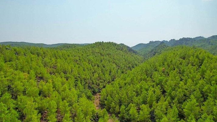 Valilik yeni kararı duyurdu! 1 Eylül'e kadar yasaklandı