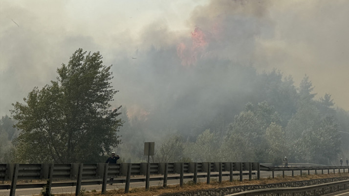Orman yangınlarıyla ilgili paylaşım yapan meclis üyesi gözaltına alındı