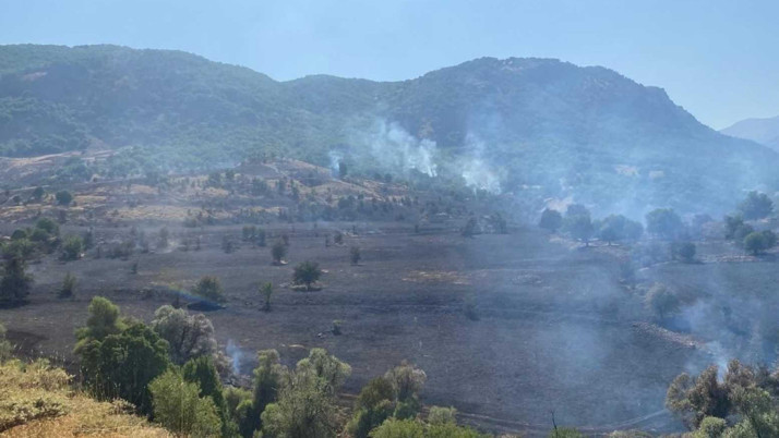 Denizli'deki orman yangını kontrol altına alındı