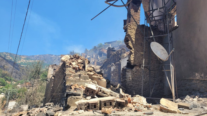 Bakan Kurum, orman yangınlarıyla ilgili hasar tespit verilerini paylaştı