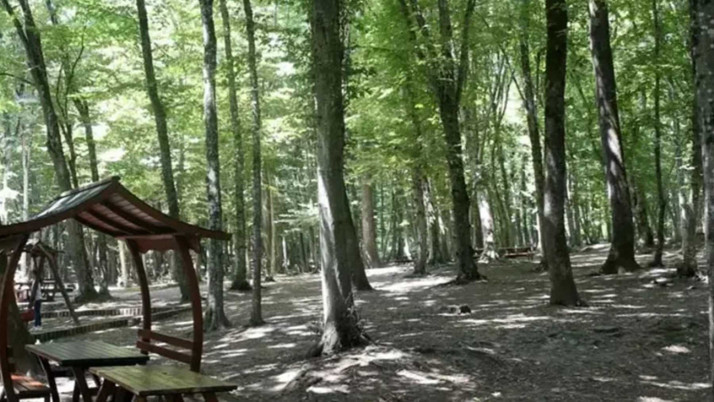 Ankara'da mangal ve ateşli pikniğe yasak