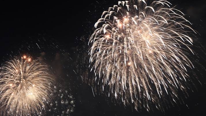 Düğün sonrası atılan havai fişekler yangına neden oldu