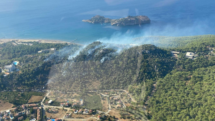 Muğla'da orman yangını çıktı!