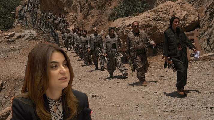 DEM Partili Koçyiğit'in 'Terörsüz Türkiye' rahatsızlığı