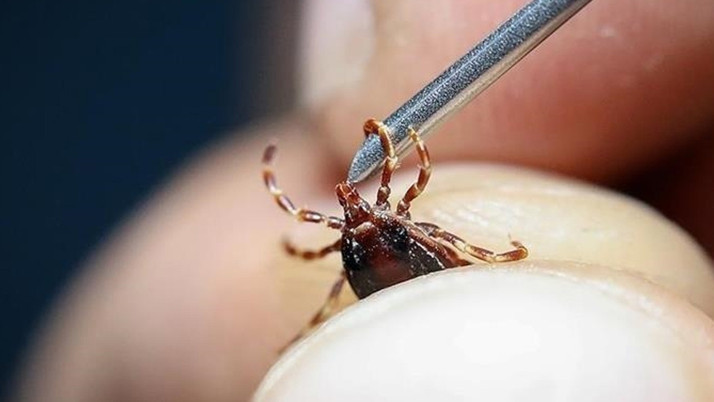 Sivas'ta vücuduna kene yapışan kadın öldü