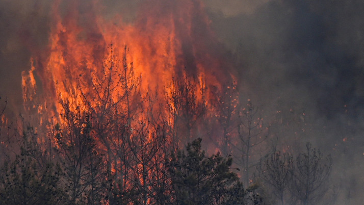 İzmir'de yeni yangın çıktı! Alevler hızla ilerliyor