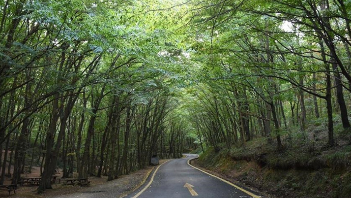 Bir ilde daha ormanlık alanlara girişler yasaklandı