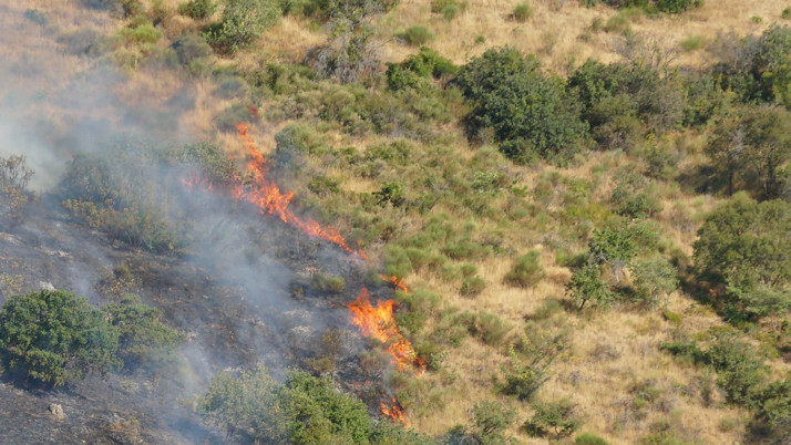 Tekirdağ'da yangın çıktı! Ekipler bölgede...