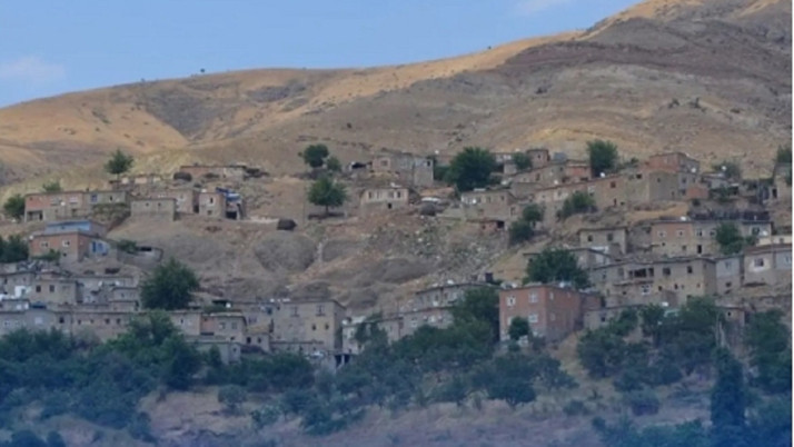 Batman'da akrepler saldırıya geçti! Tek bir ısırıkla hayattan koparıyor...