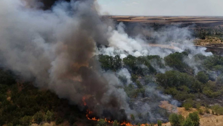 Kırklareli’nde çıkan yangın söndürüldü