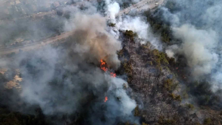 Karabük ve Denizli’de orman yangınları