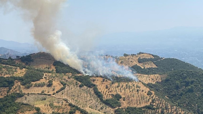 Aydın'daki tarım arazisi yangınını, kayınpederine kızan gelinin çıkardığı belirlendi