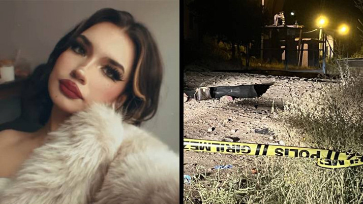 Aydın'da üniversiteli kız yol kenarında başından vurulmuş halde ölü bulundu