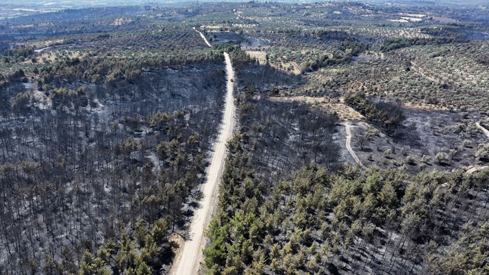 Bakan Kurum'dan Çanakkale'deki orman yangınına ilişkin açıklama