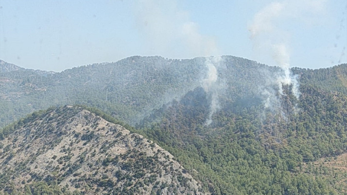 Mersin'de orman yangını! Havadan ve karadan müdahale sürüyor...