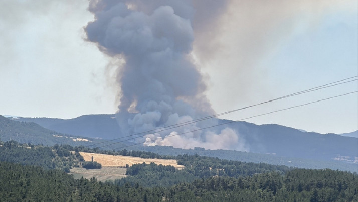 Bolu'da çıkan orman yangınına müdahale sürüyor...