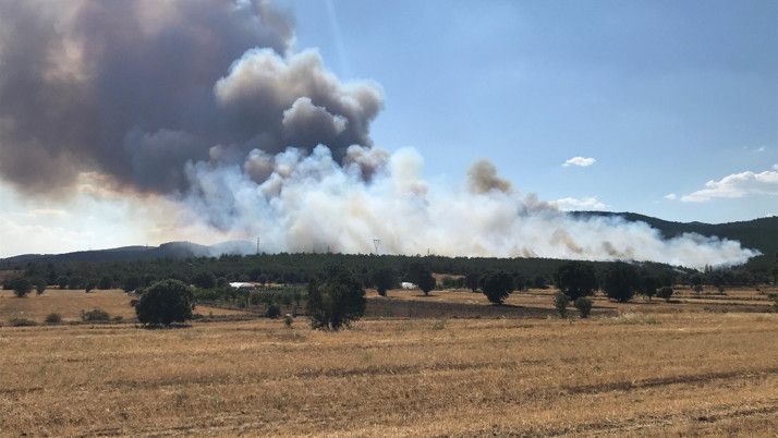 Uşak'ta ormanlık alanda yangın çıktı! Ekipler müdahale ediyor