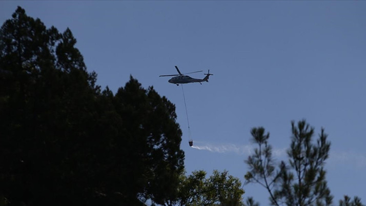 İzmir'de yeni orman yangını çıktı!